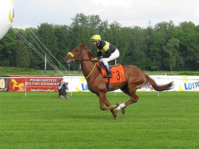 image_94.jpg