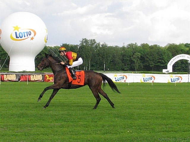 image_96.jpg