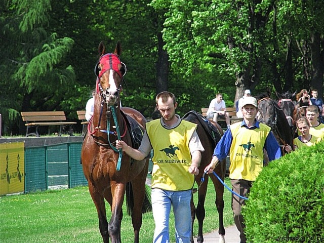 image_0.jpg