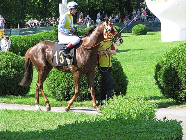 image_100.jpg