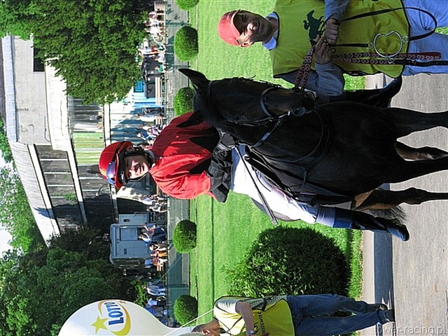 image_110.jpg