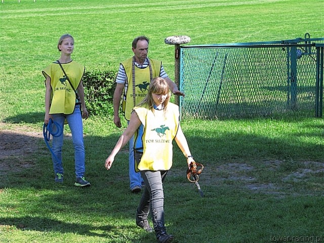 image_116.jpg