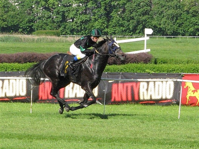 image_117.jpg
