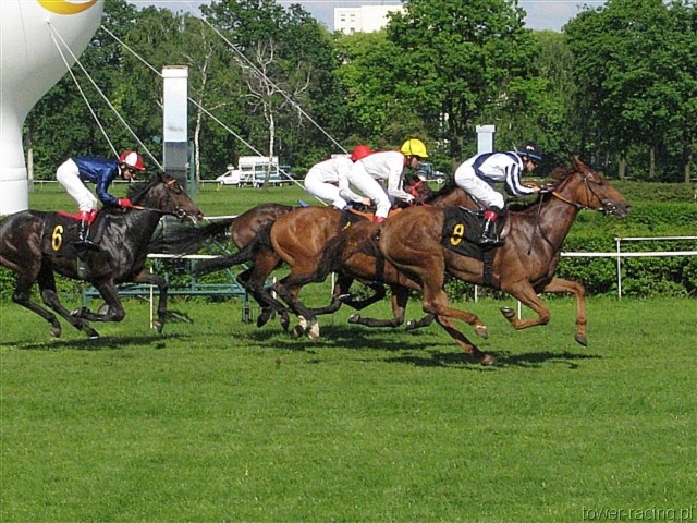 image_118.jpg