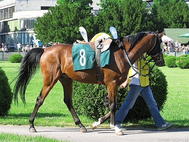 image_126.jpg