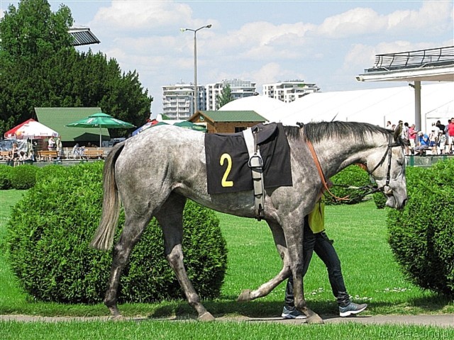 image_13.jpg