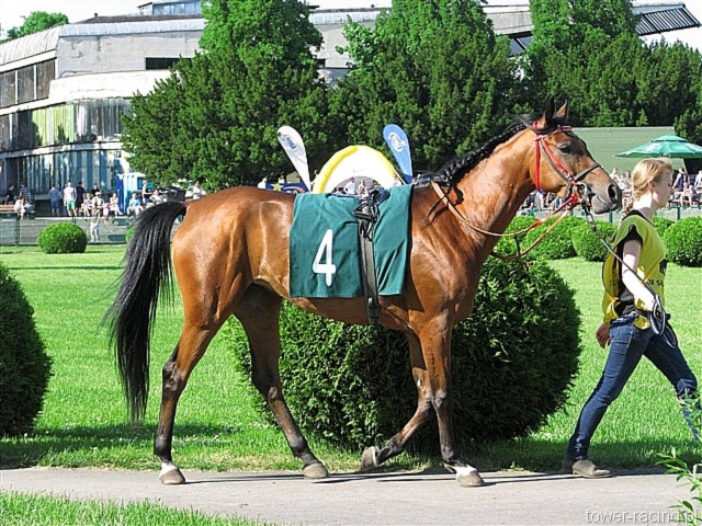 image_131.jpg
