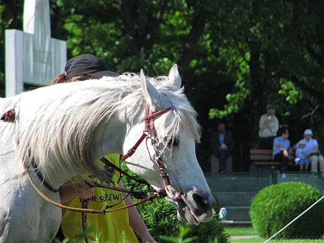 image_133.jpg