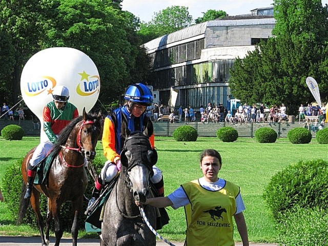 image_134.jpg
