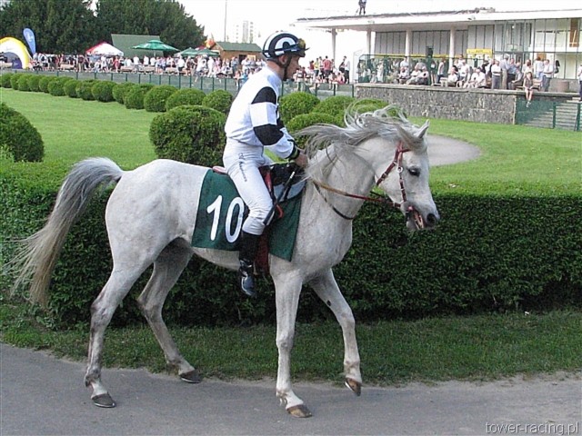 image_141.jpg