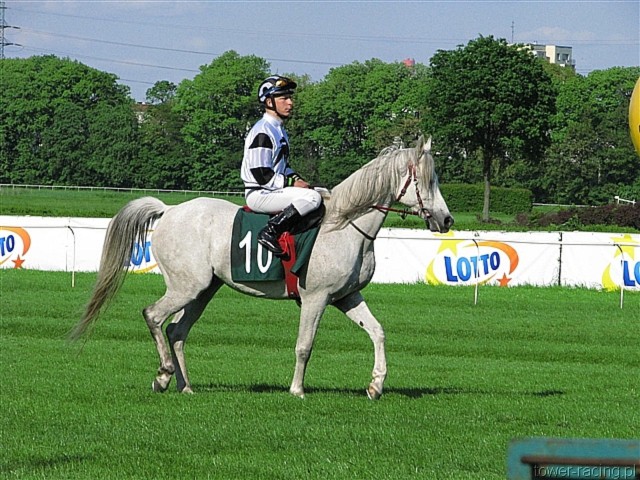 image_143.jpg