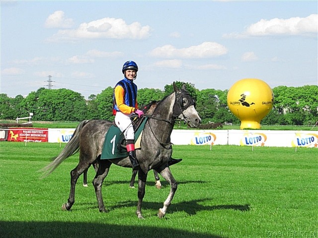 image_144.jpg