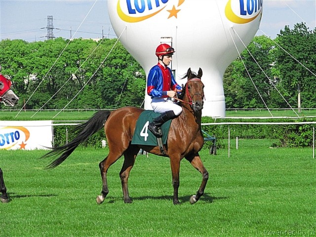 image_145.jpg