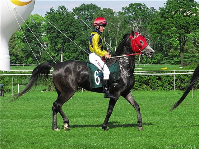 image_146.jpg