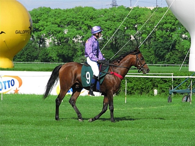 image_147.jpg