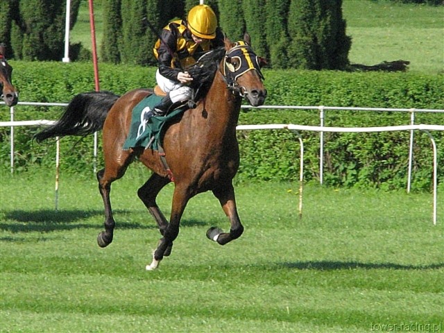 image_151.jpg