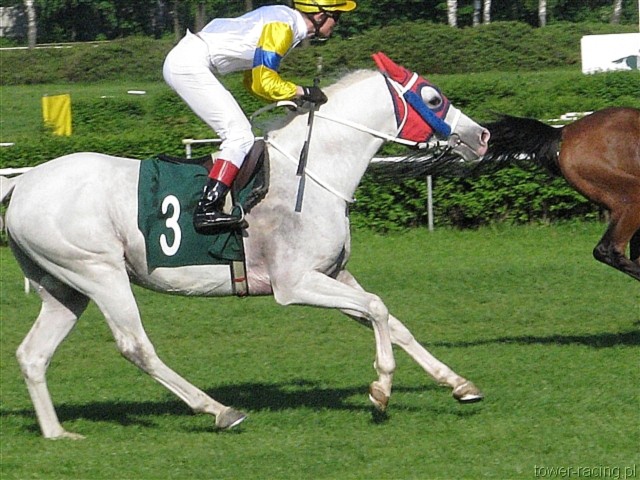 image_152.jpg