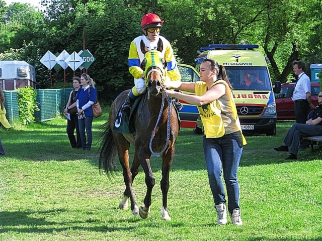 image_153.jpg
