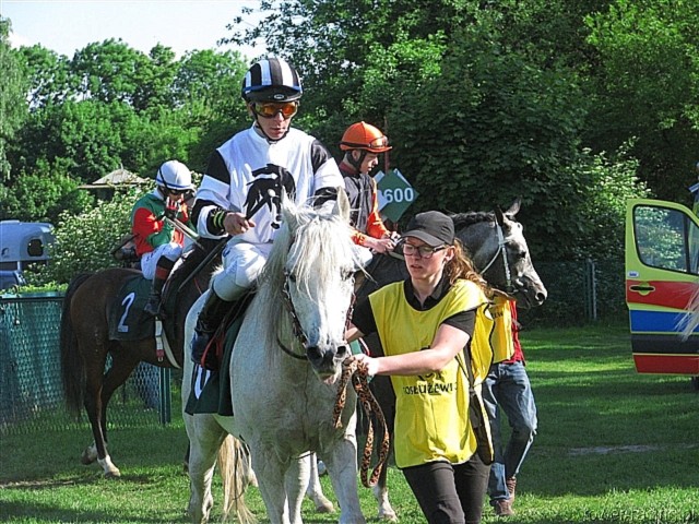 image_155.jpg