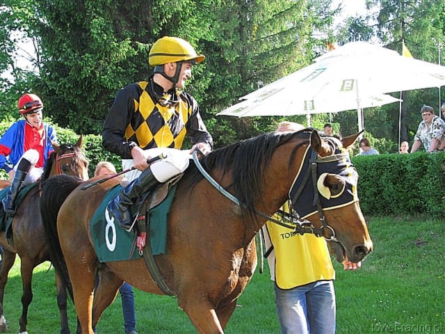 image_161.jpg