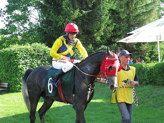 image_162.jpg