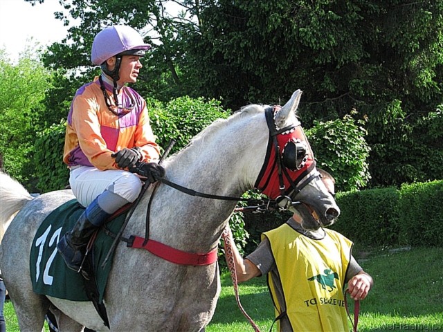 image_163.jpg