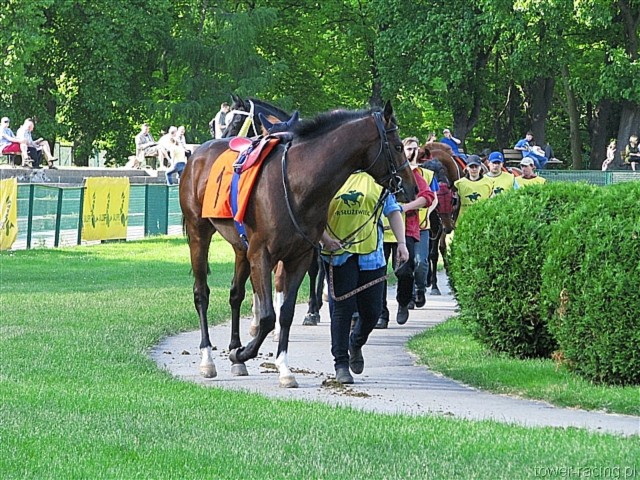 image_166.jpg