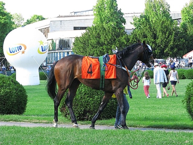 image_170.jpg