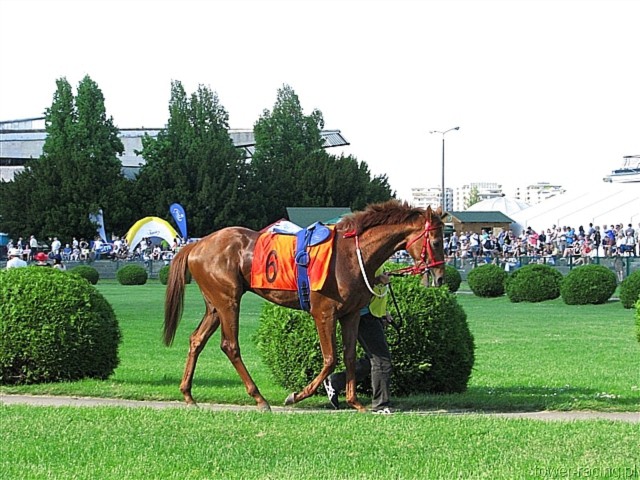 image_172.jpg
