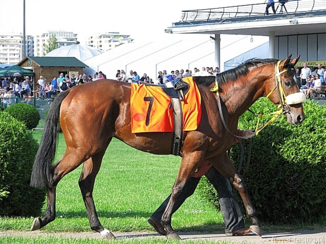 image_173.jpg