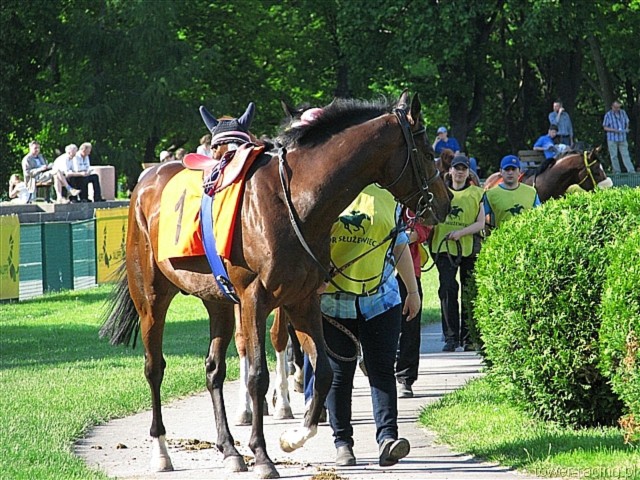 image_174.jpg