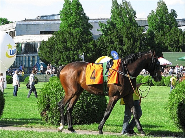 image_178.jpg