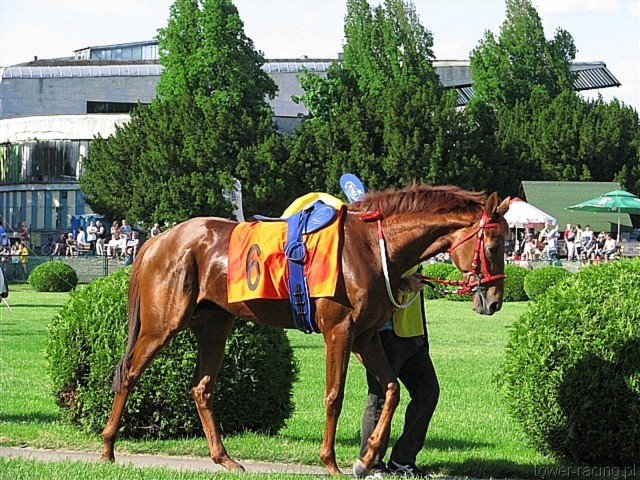 image_180.jpg