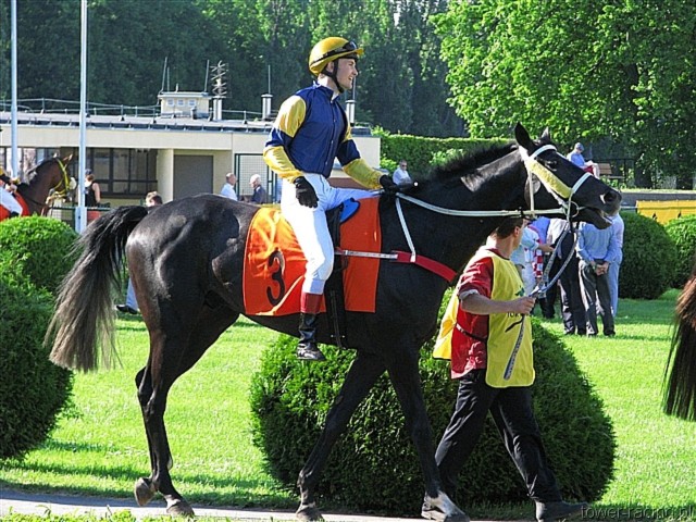 image_182.jpg