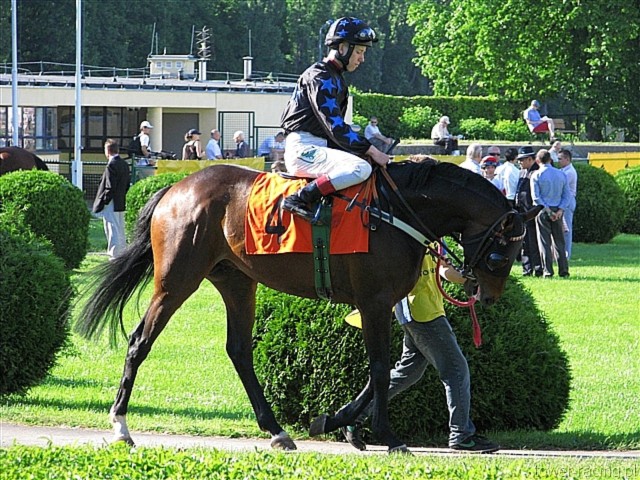 image_183.jpg