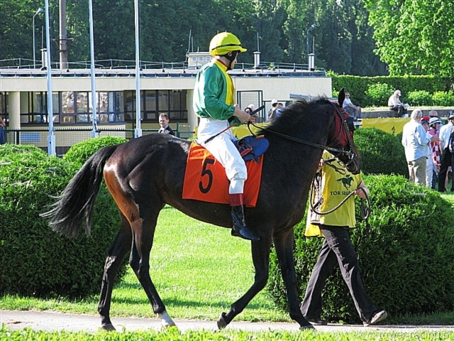 image_184.jpg