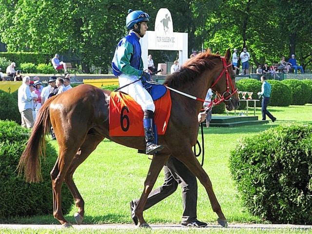image_185.jpg