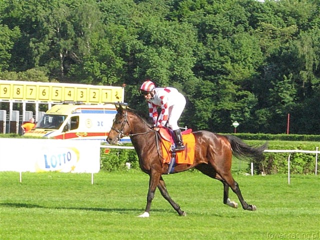 image_187.jpg