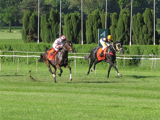 image_190.jpg