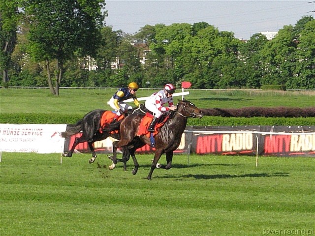 image_191.jpg