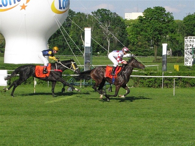 image_192.jpg
