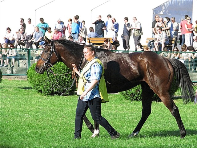 image_196.jpg
