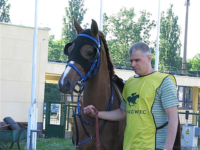 image_199.jpg