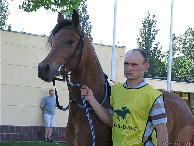 image_202.jpg