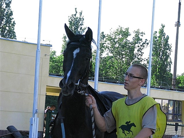 image_204.jpg