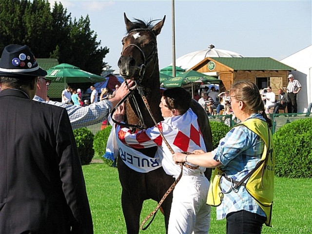 image_205.jpg
