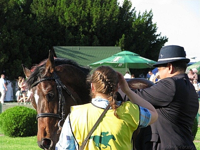 image_207.jpg