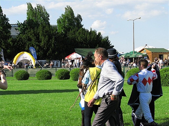 image_208.jpg