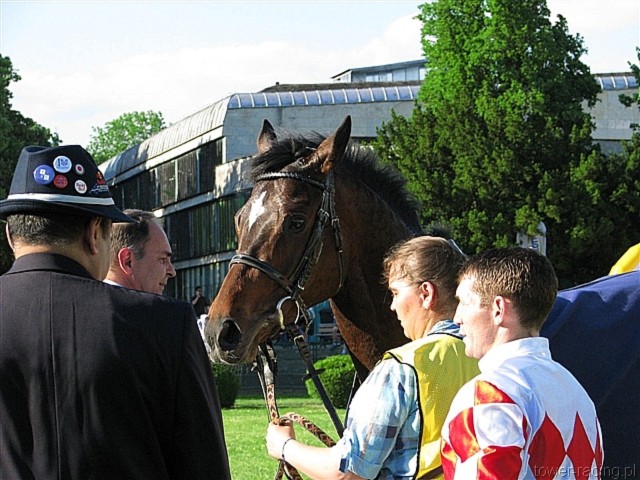 image_213.jpg