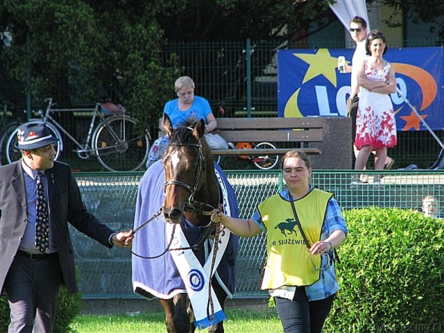 image_216.jpg